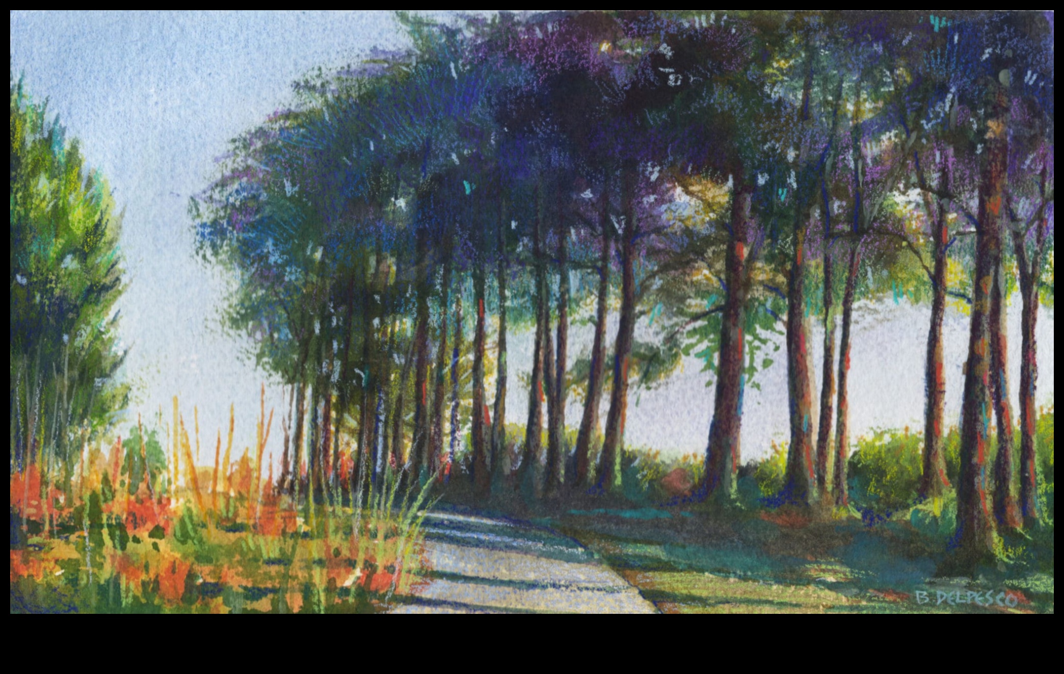 Blurring Boundaries: Exploring Softness in Watercolor Pencil Art