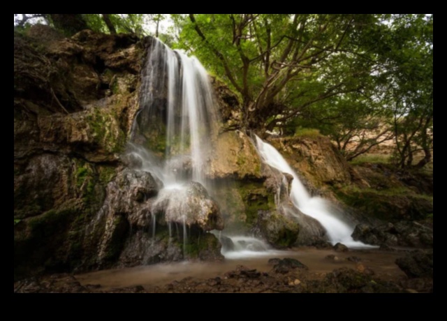 Waterfall Wonders: Nature's Dynamic Displays in Different Settings