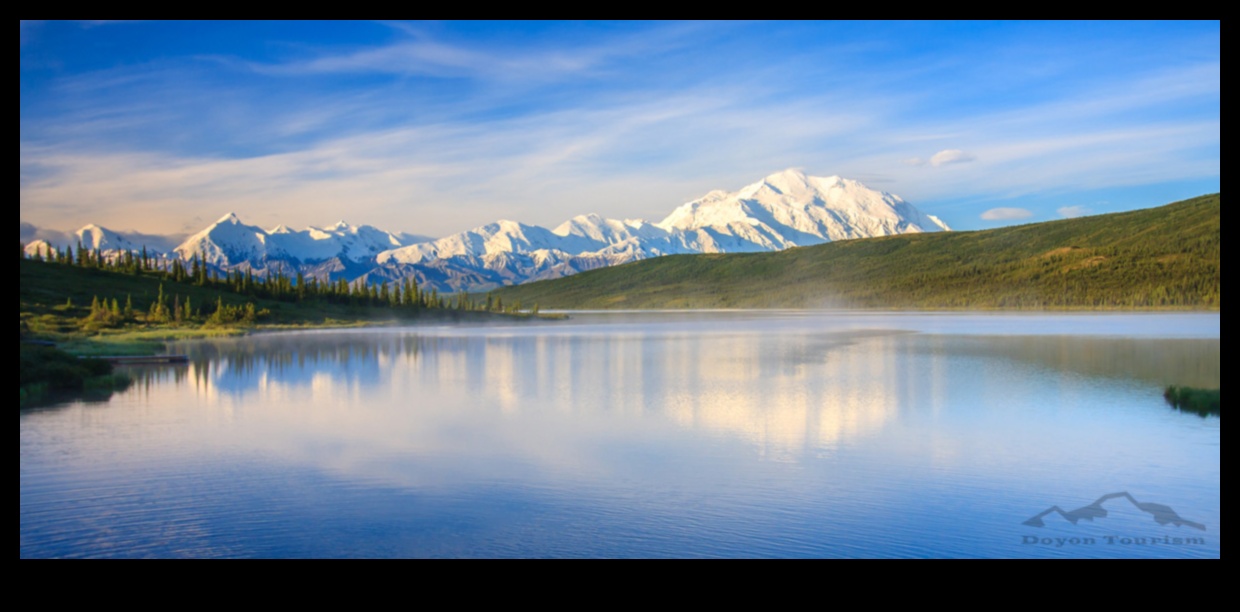 Mirrors of Tranquility: Lakes and Ponds Explored