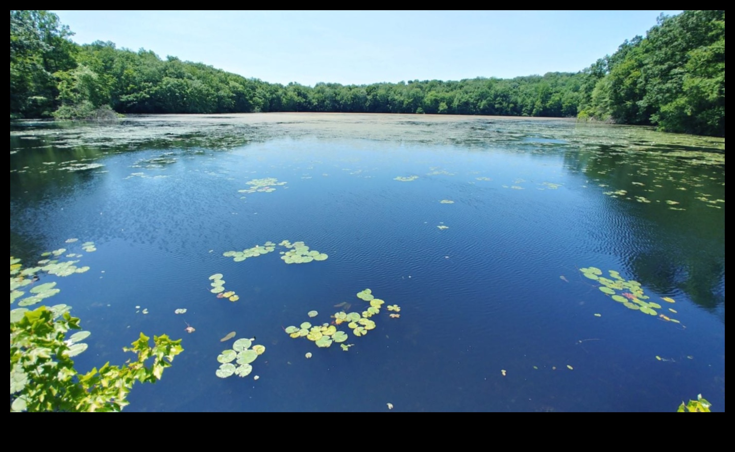 Mirrors of Tranquility: Lakes and Ponds Explored