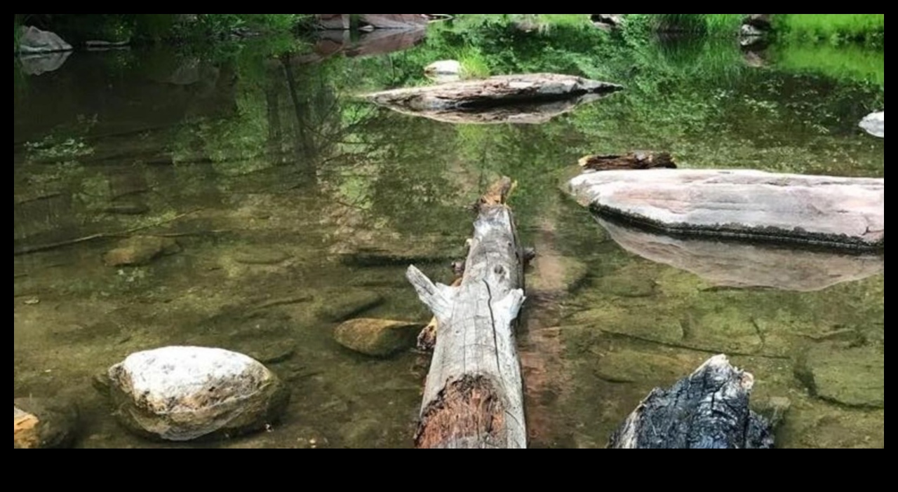 Mirrors of Tranquility: Lakes and Ponds Explored