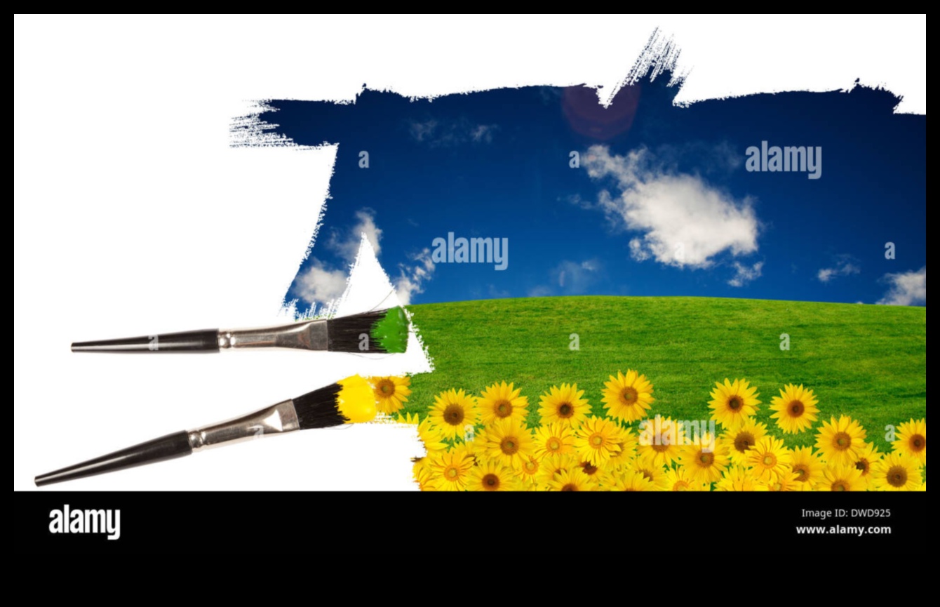 How do different weather conditions affect the perception of landscapes?