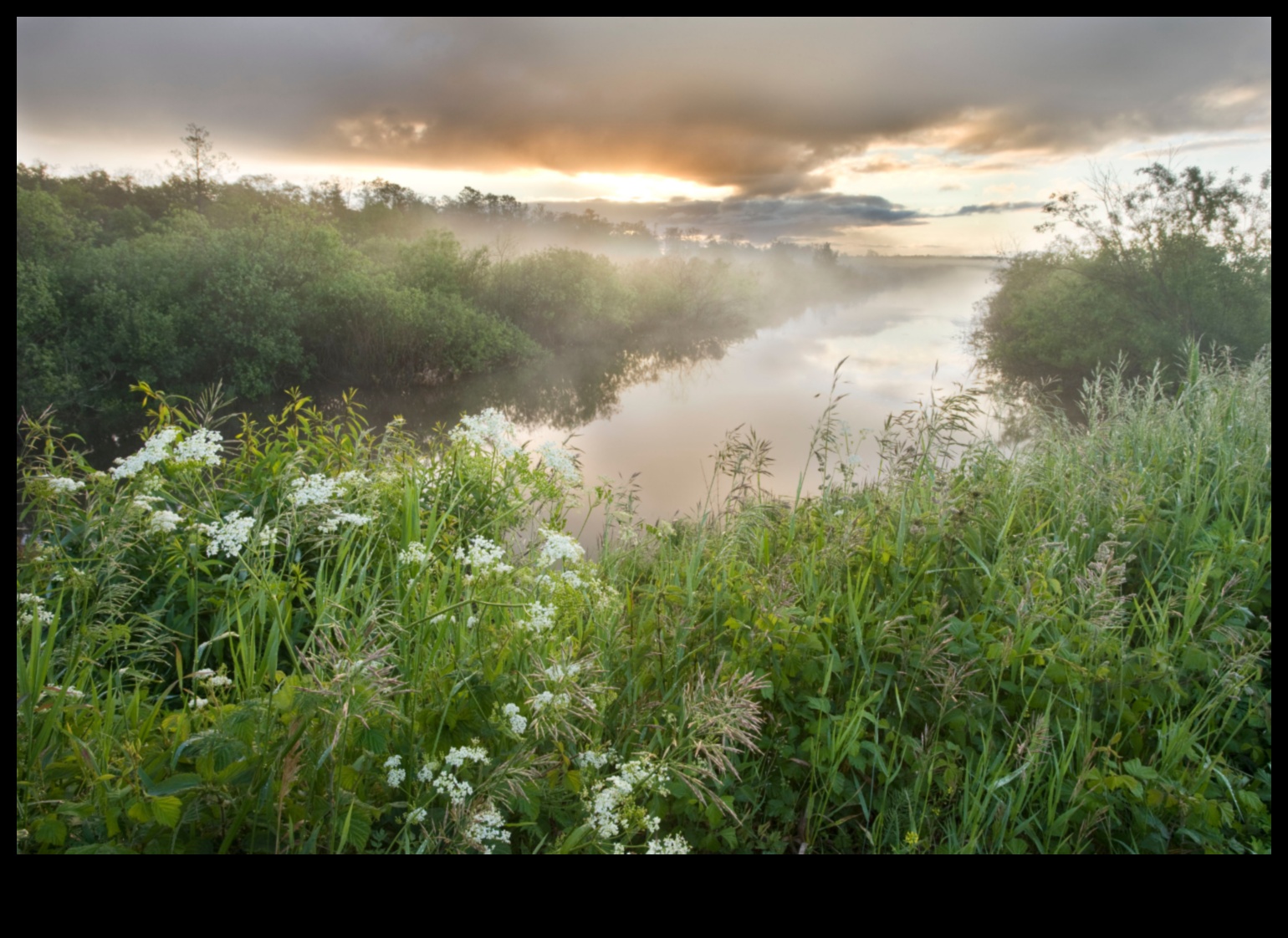 Why are wetland landscapes important for water filtration and purification?
