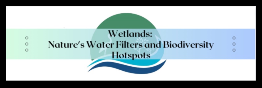 Why are wetland landscapes important for water filtration and purification?