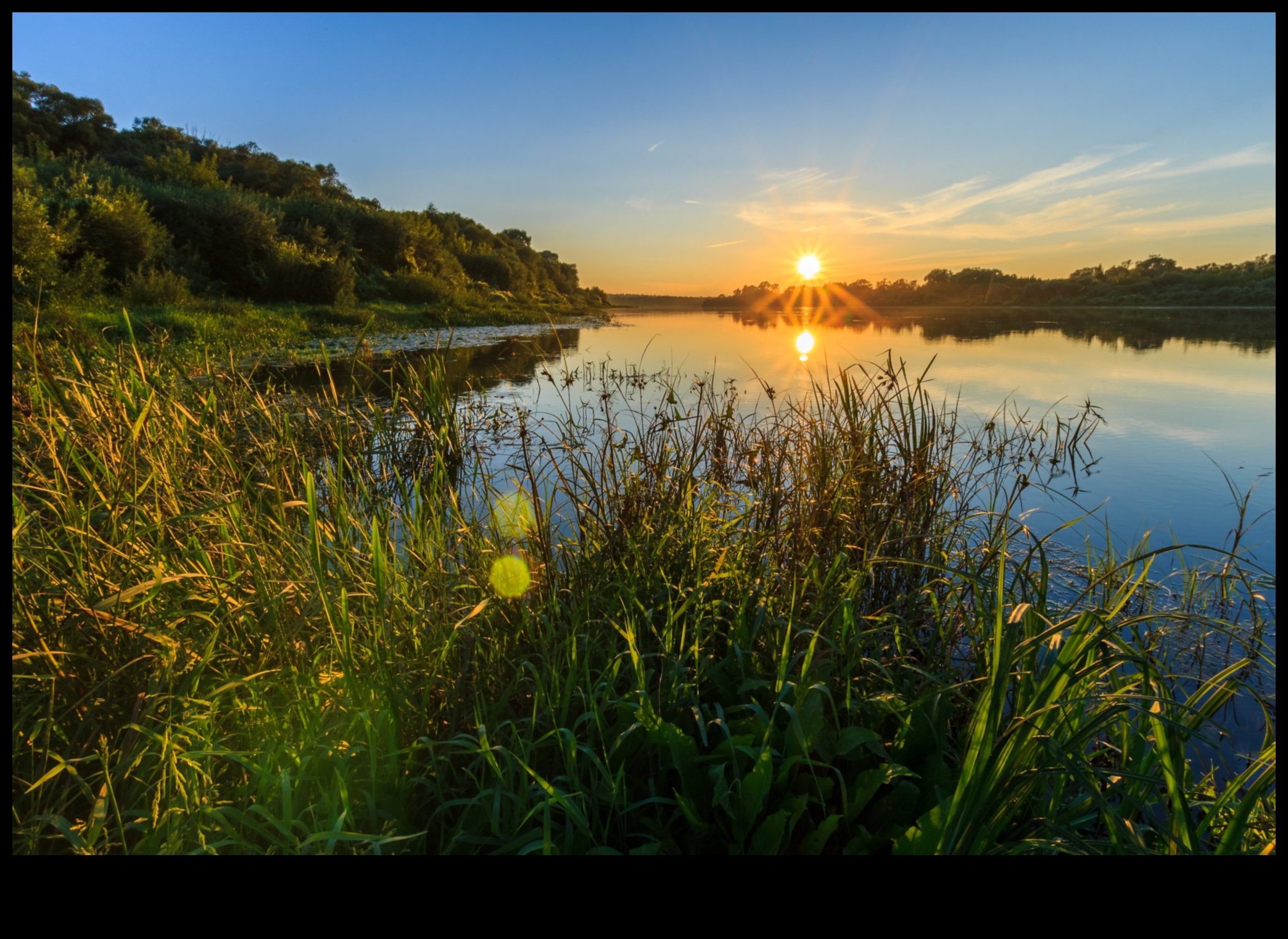 Symphony of Rain: Wetland Landscapes and Aquatic Life