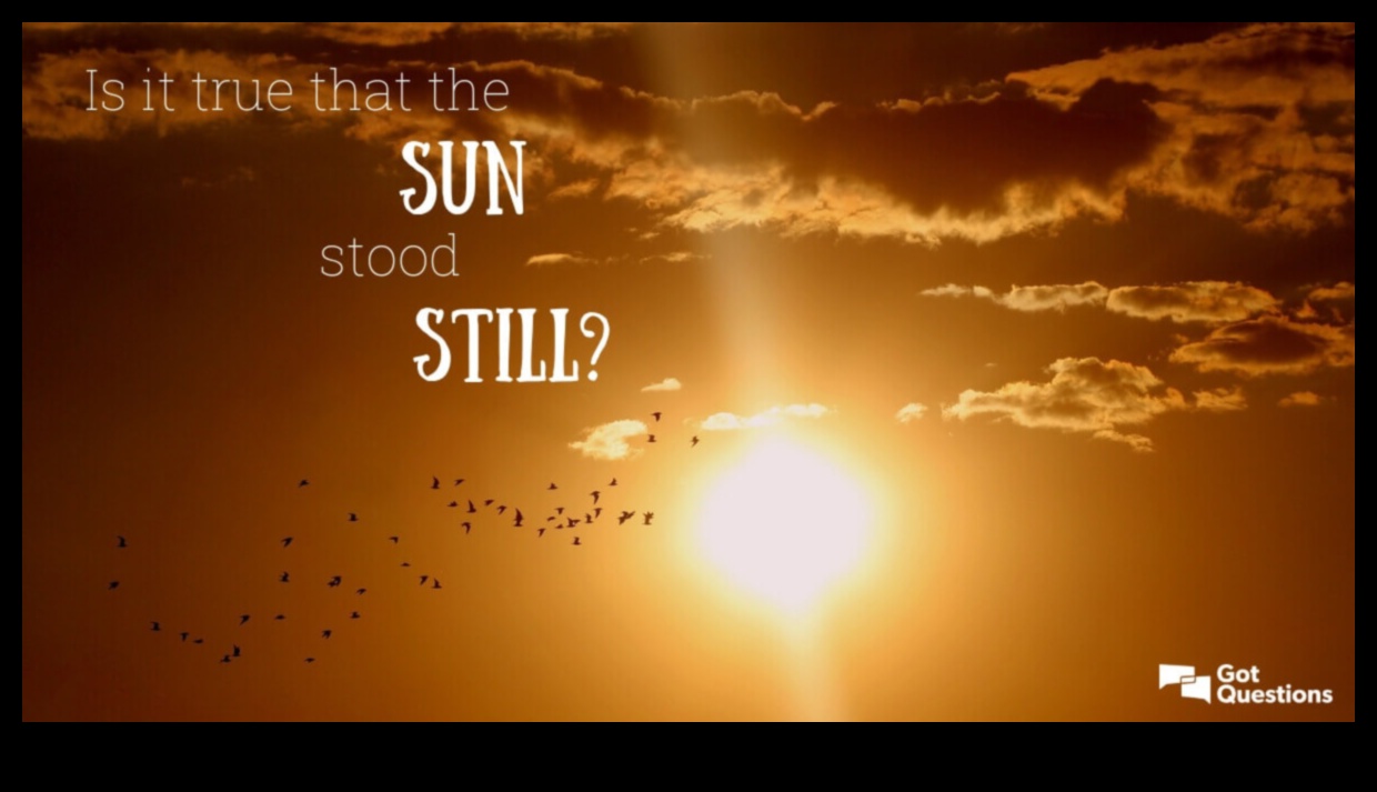 Solstice Sunshine: Embracing the Radiance of Summer