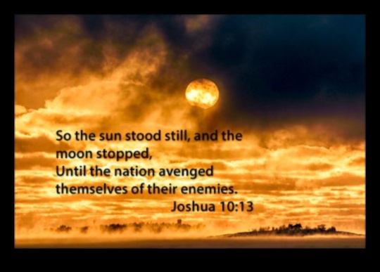 Solstice Sunshine: Embracing the Radiance of Summer