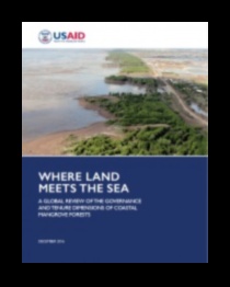 Coastal Cliffs: Dramatic Edges Where Land Meets Sea