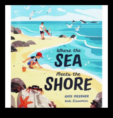 Shores in Focus III: Rediscovering Coastal and Shoreline Marvels Once More