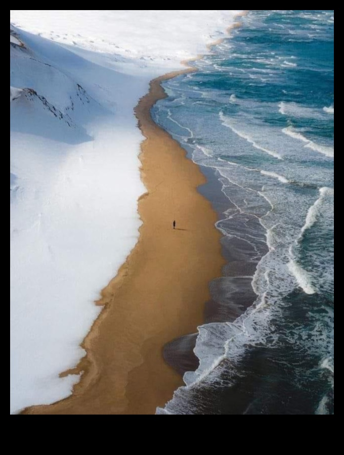 Shores in Focus III: Rediscovering Coastal and Shoreline Marvels Once More