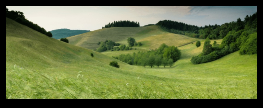 Whimsical Delights How Garden Art Can Transform Your Space 1