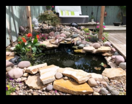 Whimsical Oasis: Transforming Your Garden with Artful Delights