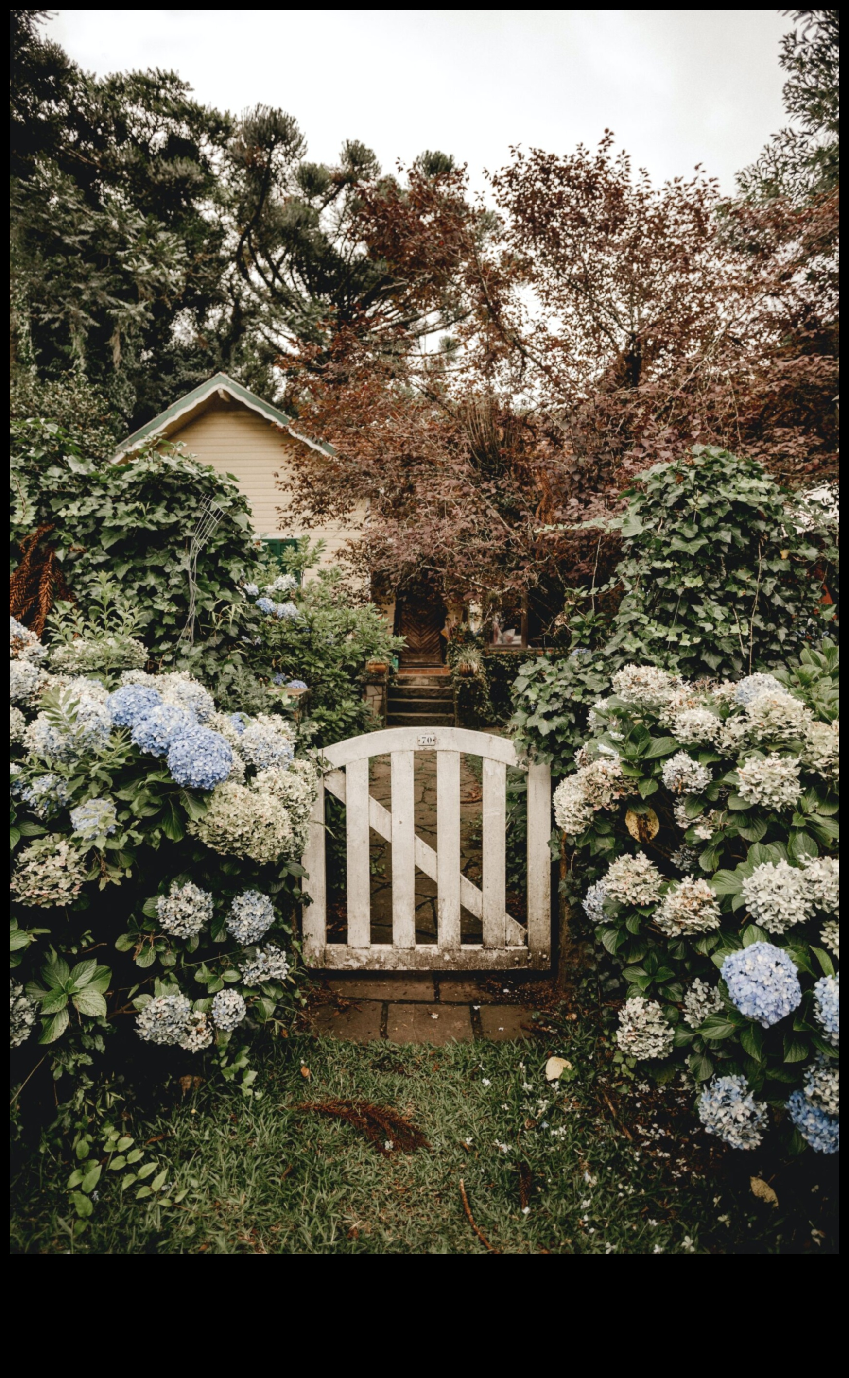 Charming Outdoor Spaces with Enchanting Botanical Designs