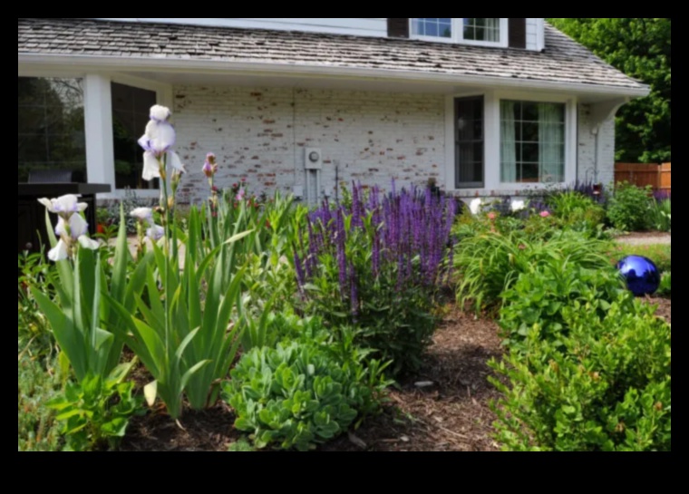 Whimsical Retreats: The Magic of Designing Cottage Gardens