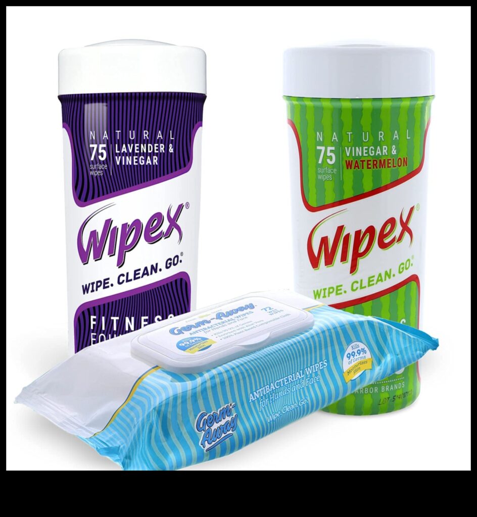 Wholesome Wipes Gentle and Effective Cleaning for Your Whole Family 1