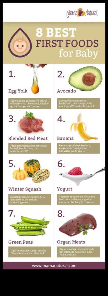 Wholesome Wonders Nutrient-Rich Baby Food for a Healthy Start 1