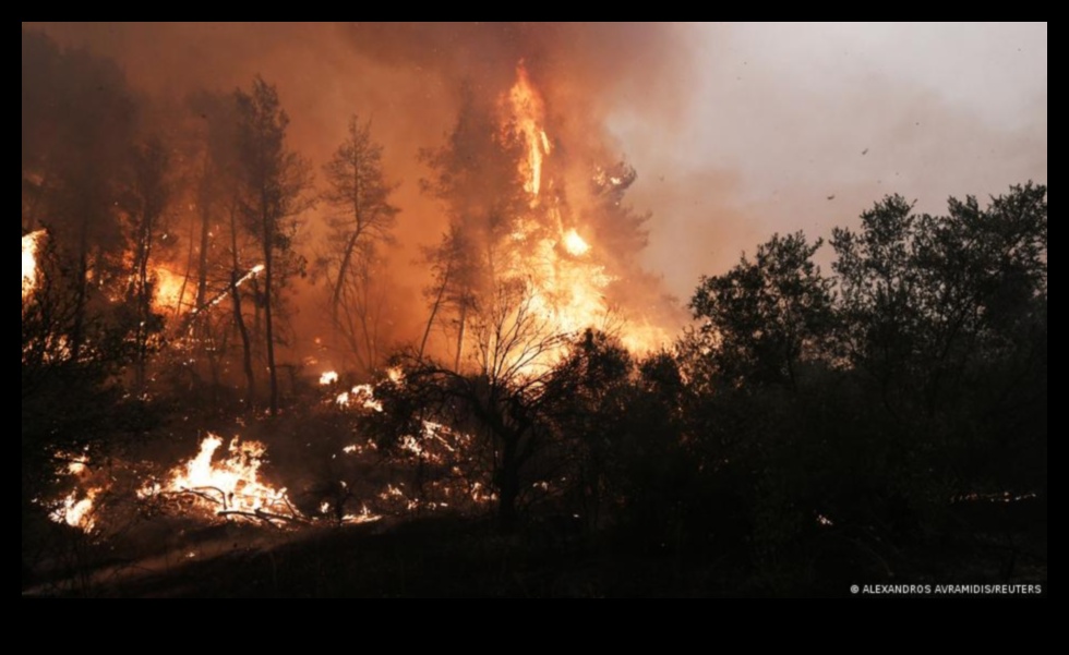 Wildfire Vulnerability A Looming Threat 1