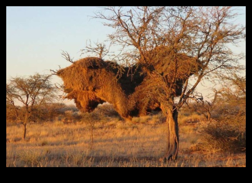 What is the significance of wildlife in natural landscapes?