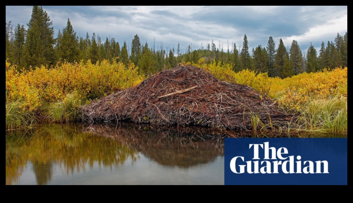 What is the significance of wildlife in natural landscapes?