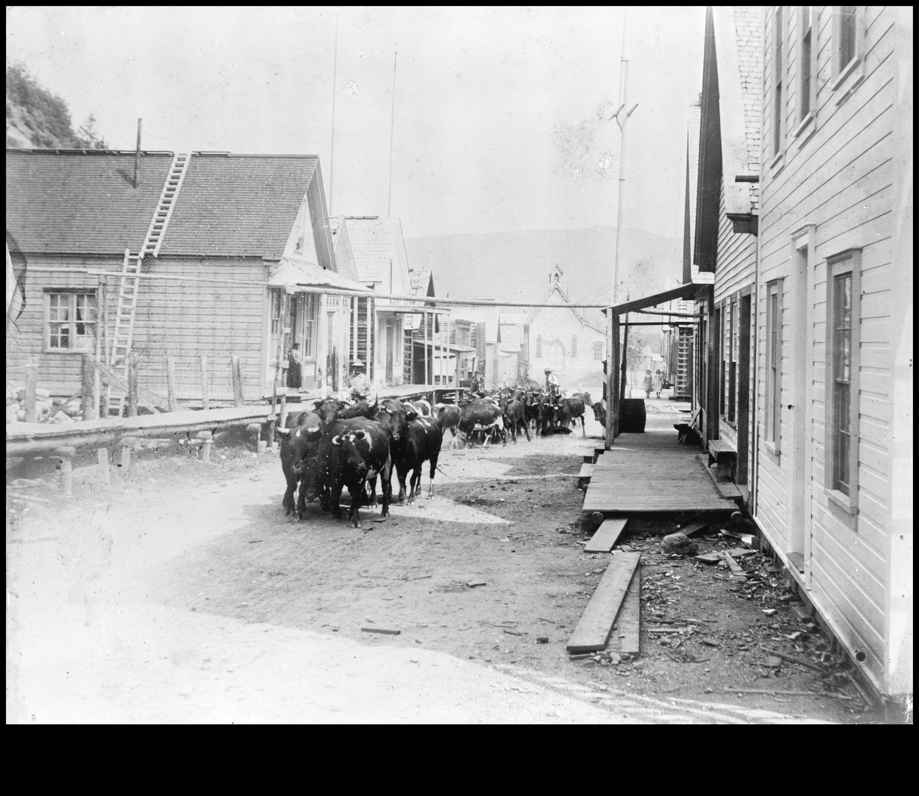 Urban Wildlife: Nature Thriving in Cityscapes