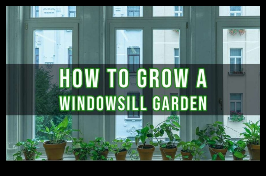 Windowsill Wonders: Cultivating Indoor Gardening Marvels