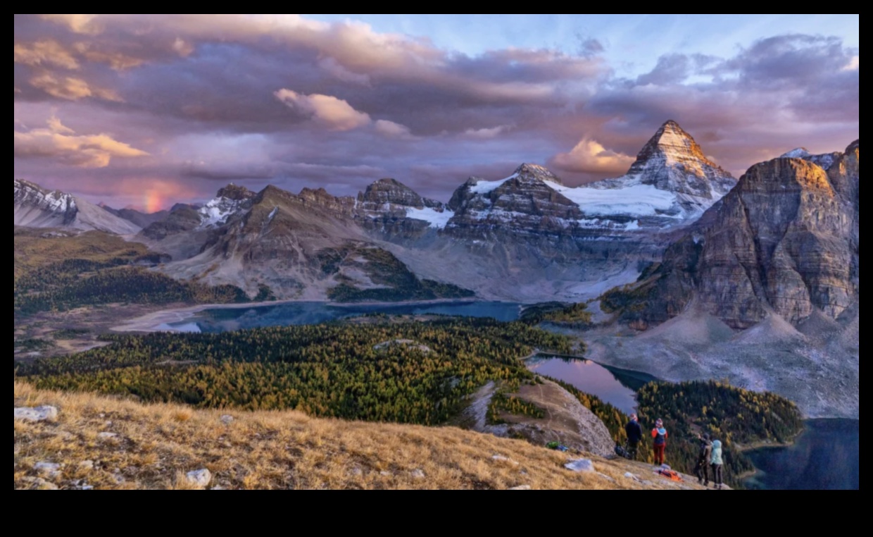 Frosty Dreams: The Enchantment of Winter Wonderland