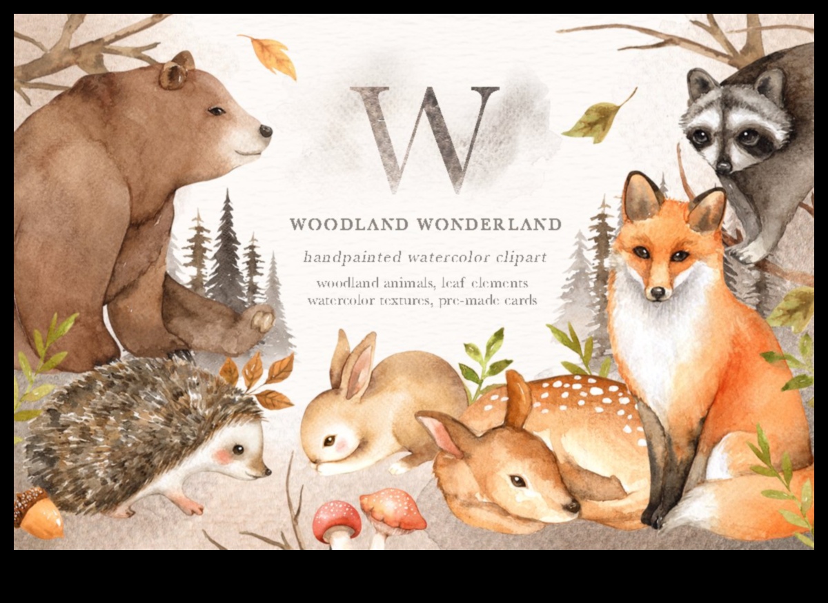 Enigmatic Forests: Secrets of Woodland Scenes