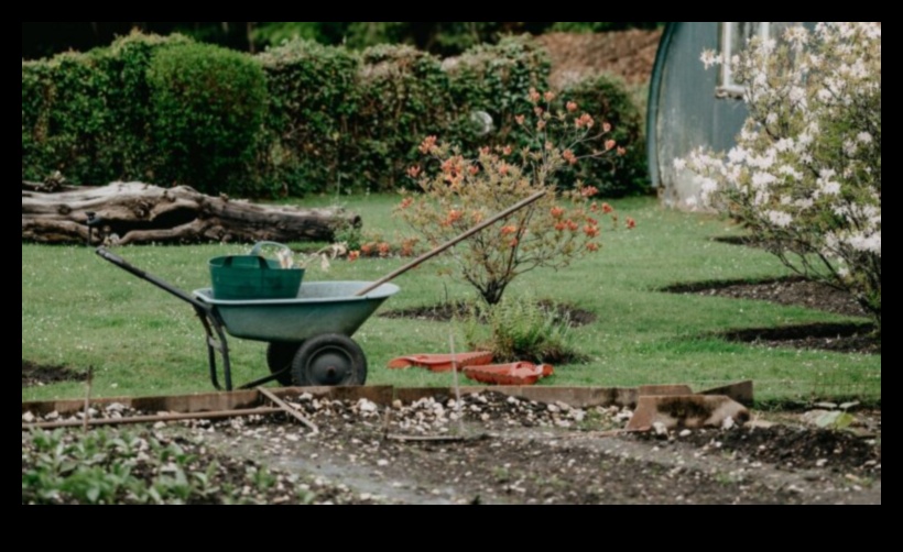 Year-Round Radiance: Tailoring Garden Care to Perfection