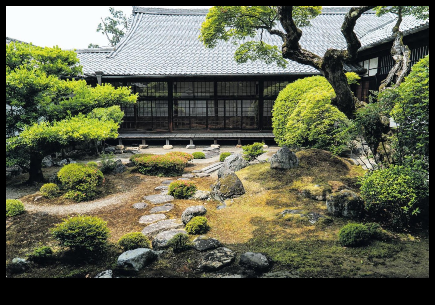 Zen Elegance: Japanese Garden Beauty in Simplicity